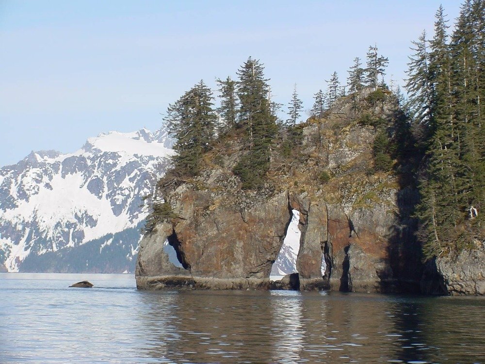 Rocky sea stack with an arch and evergreens in Kenai Fjords, Alaska