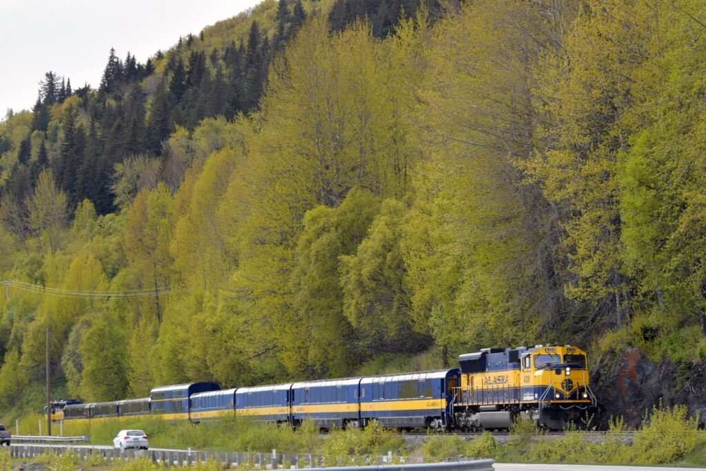 An Alaska Railroad passenger train traveling through green spring forest in interior Alaska.